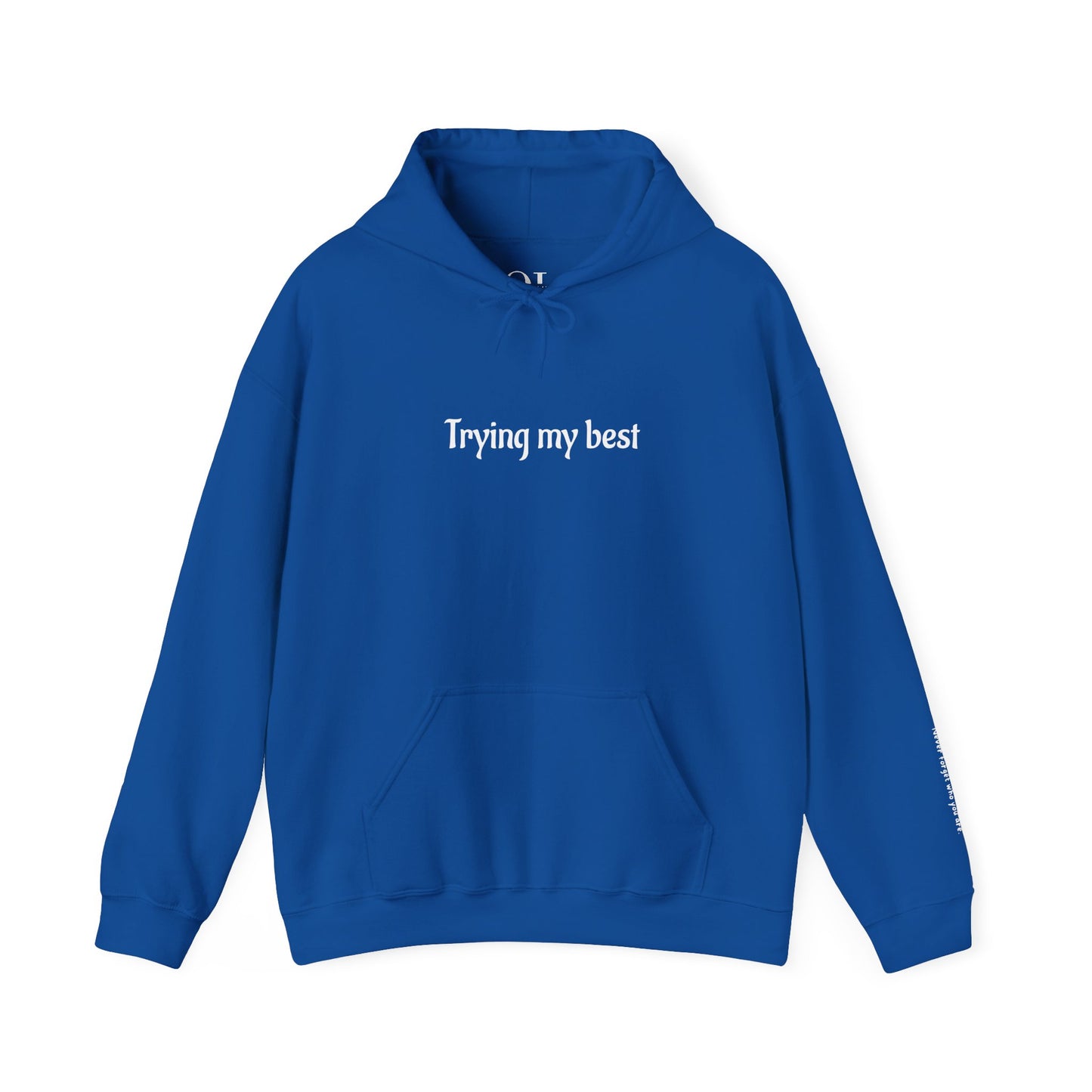 Funny Hoodies